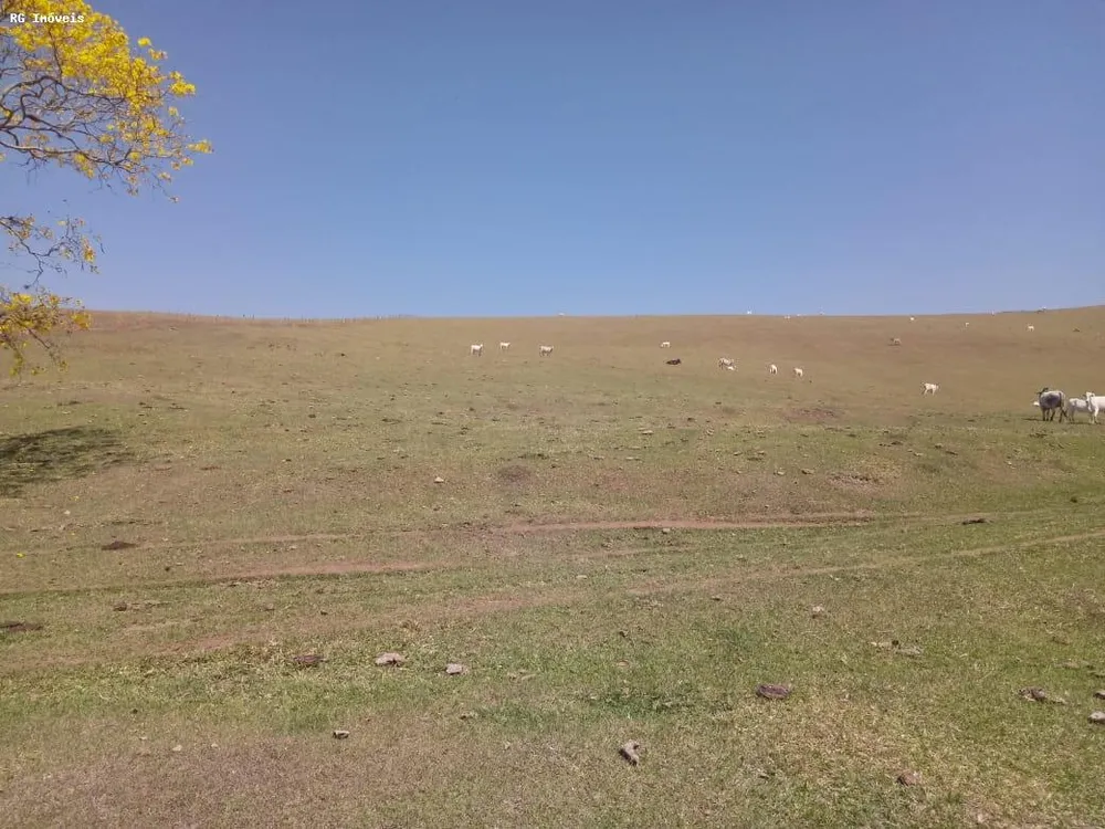 Fazenda, 145 hectares - Foto 16