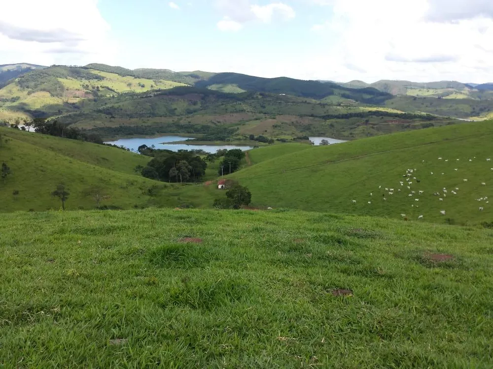 Fazenda, 145 hectares - Foto 2