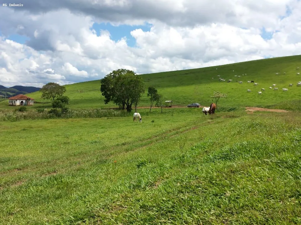 Fazenda, 145 hectares - Foto 8
