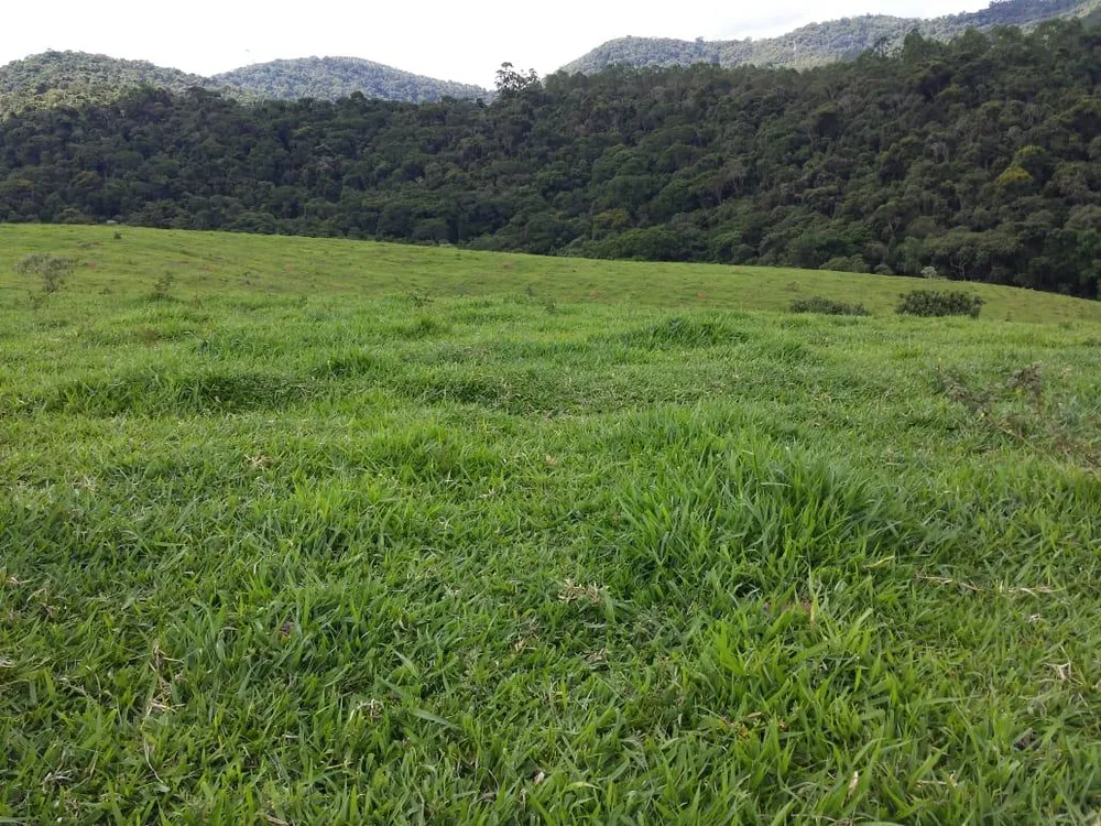 Fazenda, 145 hectares - Foto 17