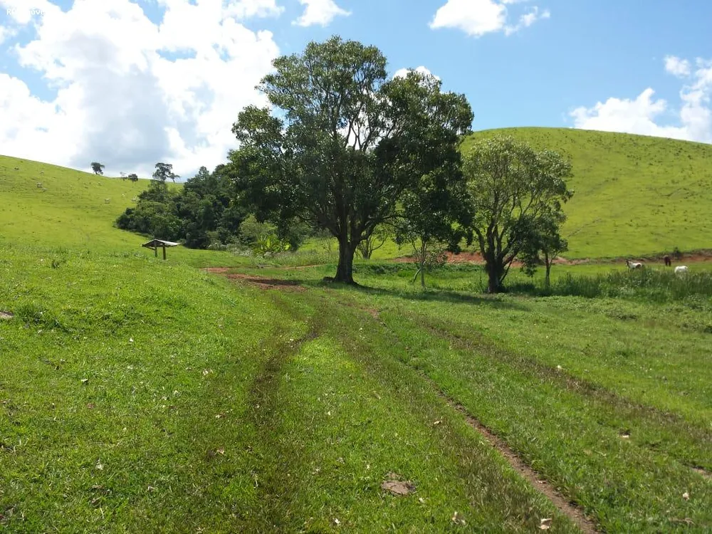 Fazenda, 145 hectares - Foto 13
