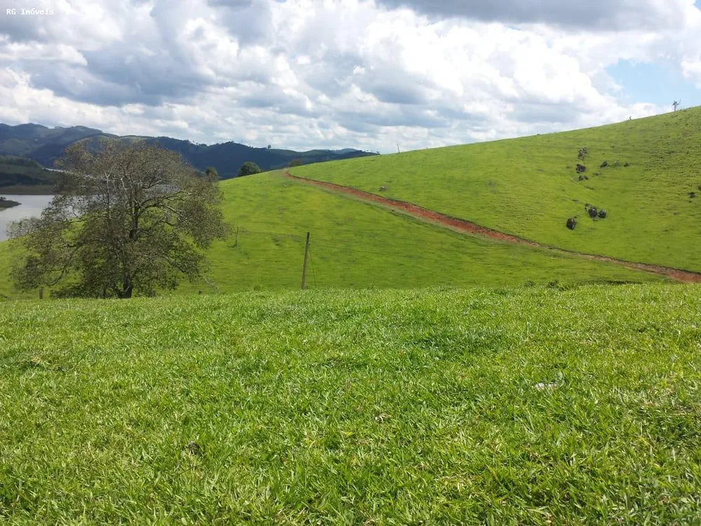 Fazenda, 145 hectares - Foto 6