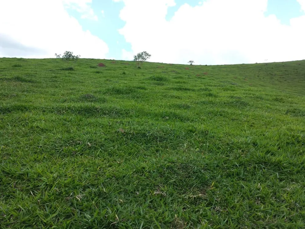 Fazenda, 145 hectares - Foto 21