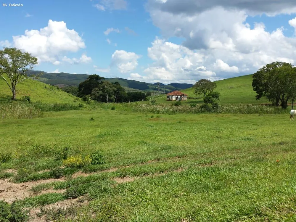 Fazenda, 145 hectares - Foto 12