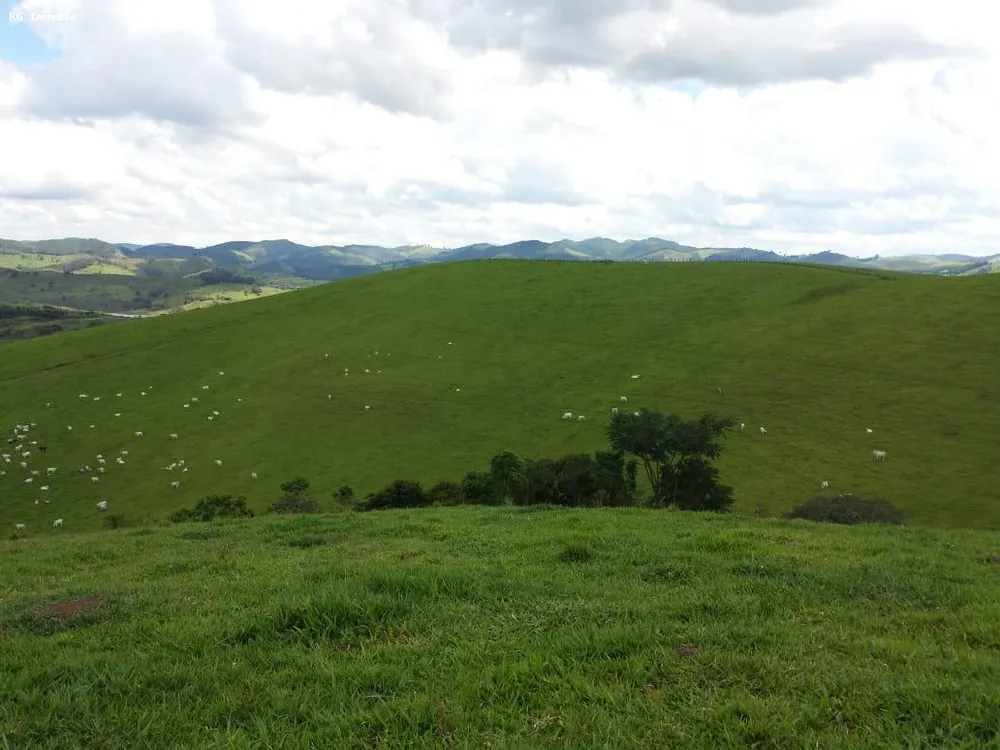 Fazenda, 145 hectares - Foto 9