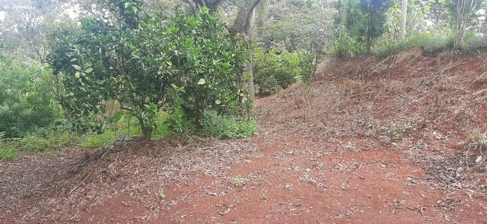 Chácara, 2 quartos, 1 hectares - Foto 9