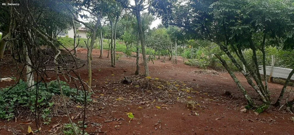Chácara, 2 quartos, 1 hectares - Foto 10