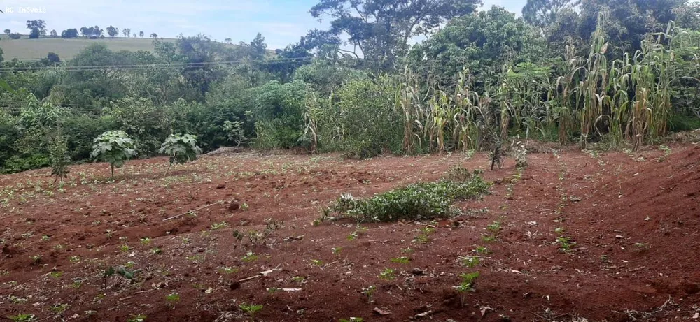 Chácara, 2 quartos, 1 hectares - Foto 4