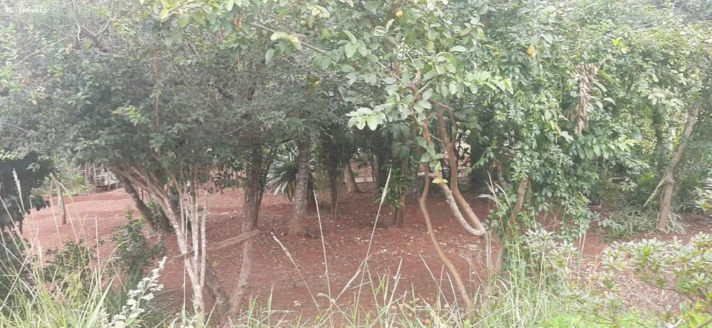Chácara, 2 quartos, 1 hectares - Foto 18