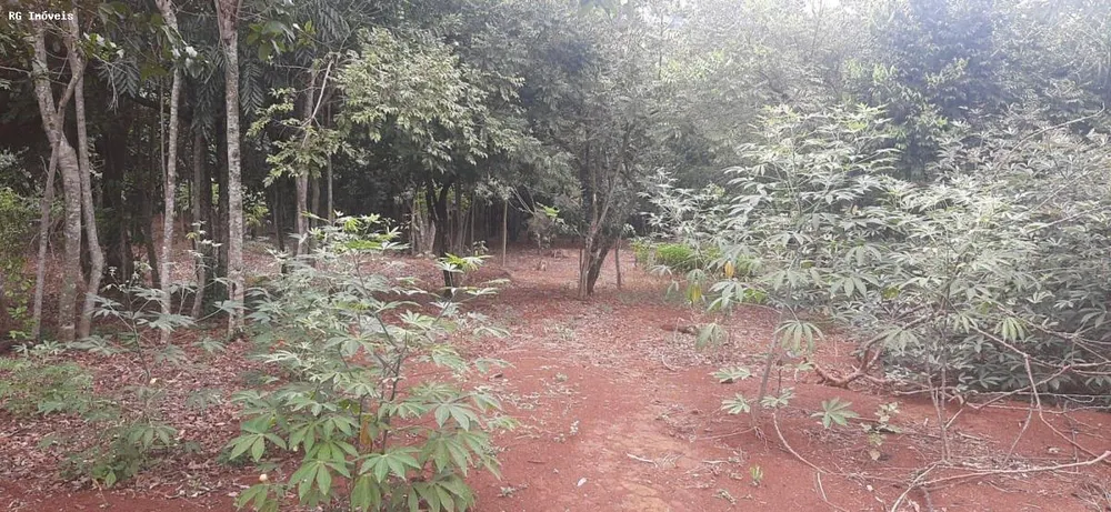 Chácara, 2 quartos, 1 hectares - Foto 15