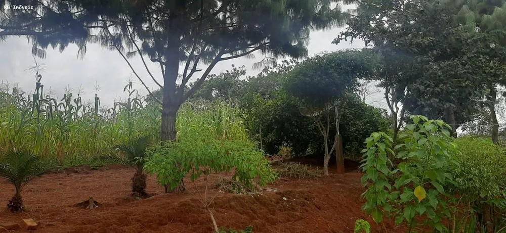 Chácara, 2 quartos, 1 hectares - Foto 2