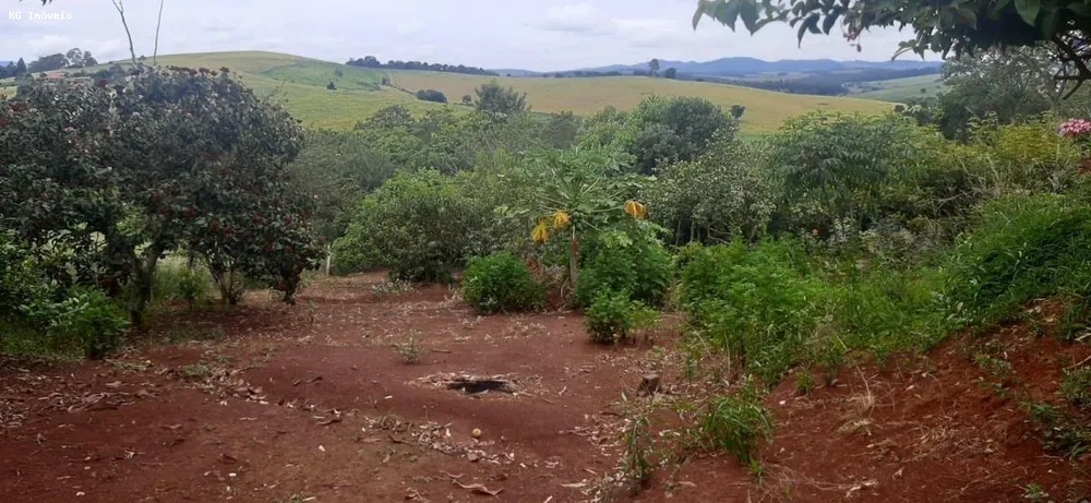 Chácara, 2 quartos, 1 hectares - Foto 19