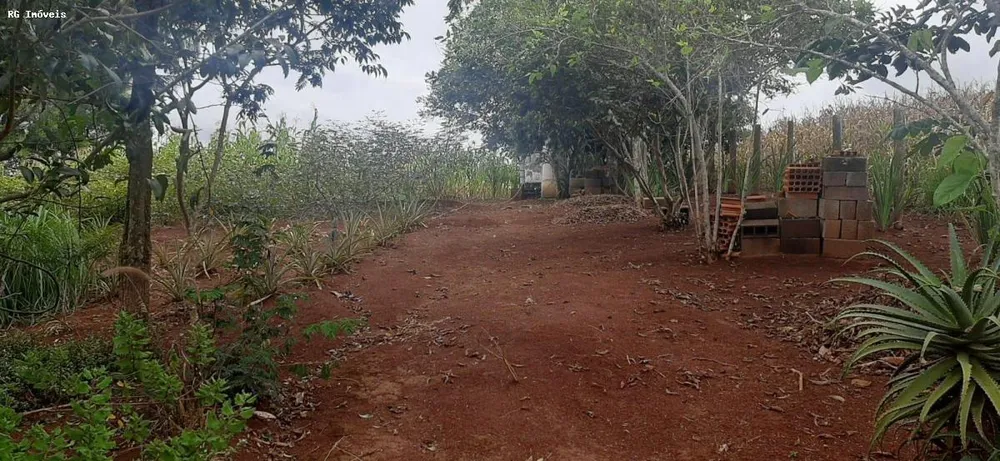 Chácara, 2 quartos, 1 hectares - Foto 20
