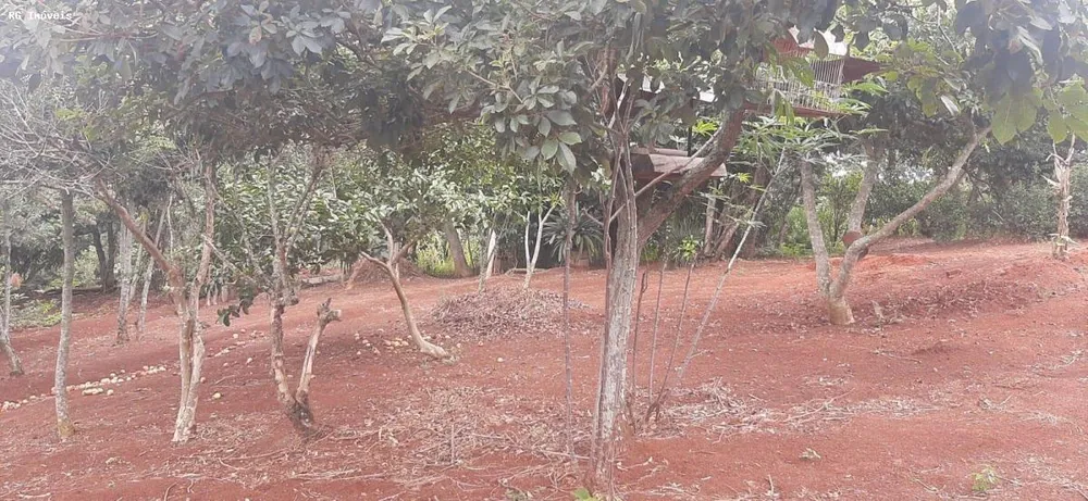 Chácara, 2 quartos, 1 hectares - Foto 16