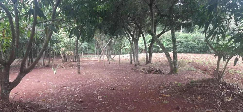 Chácara, 2 quartos, 1 hectares - Foto 3
