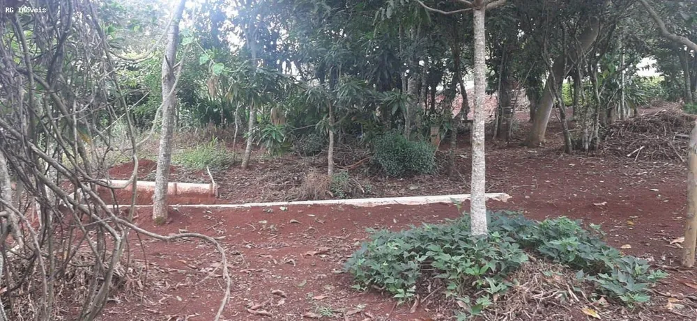 Chácara, 2 quartos, 1 hectares - Foto 12
