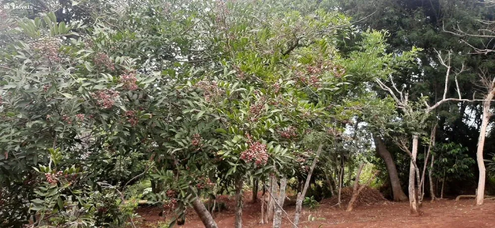 Chácara, 2 quartos, 1 hectares - Foto 14