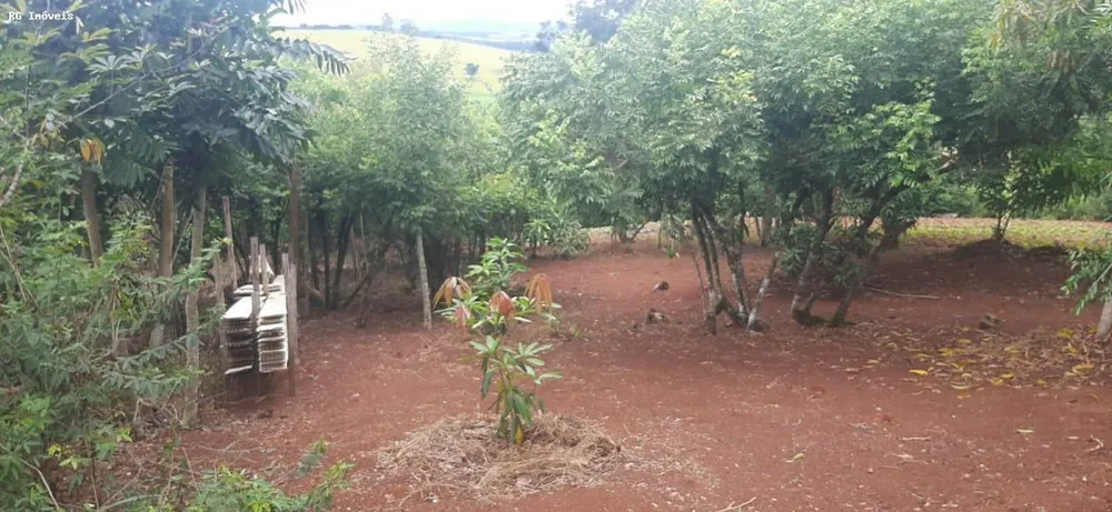 Chácara, 2 quartos, 1 hectares - Foto 13