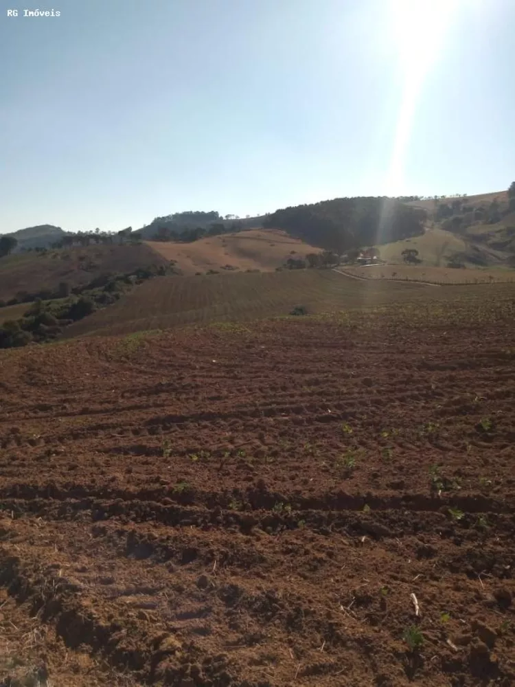 Sítio, 34 hectares - Foto 3
