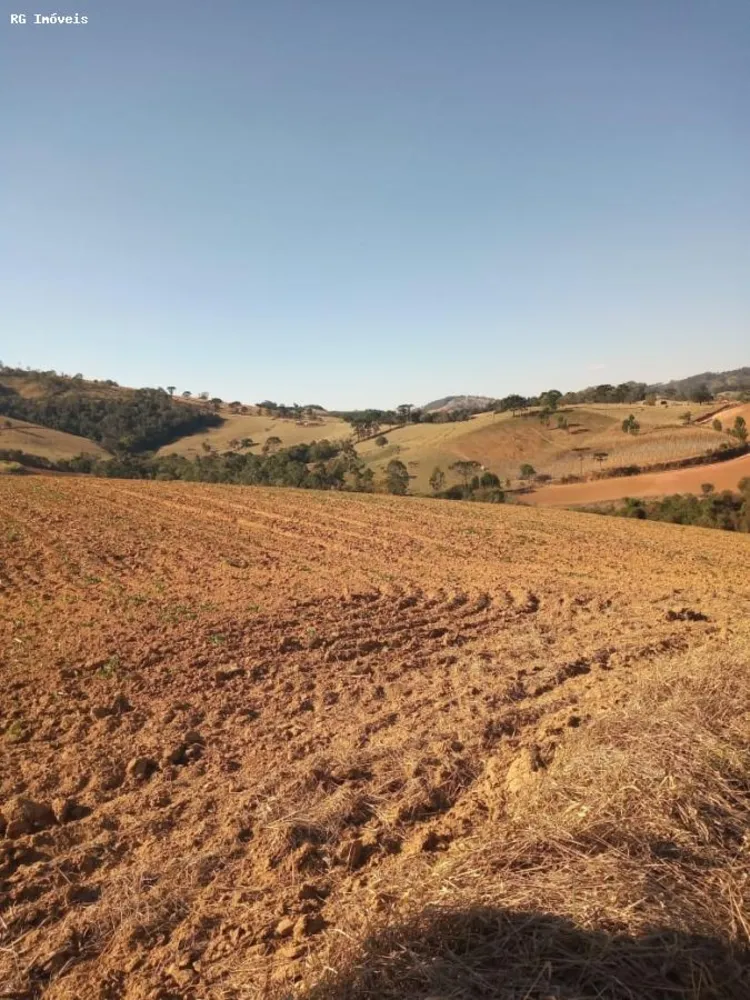 Sítio, 34 hectares - Foto 2