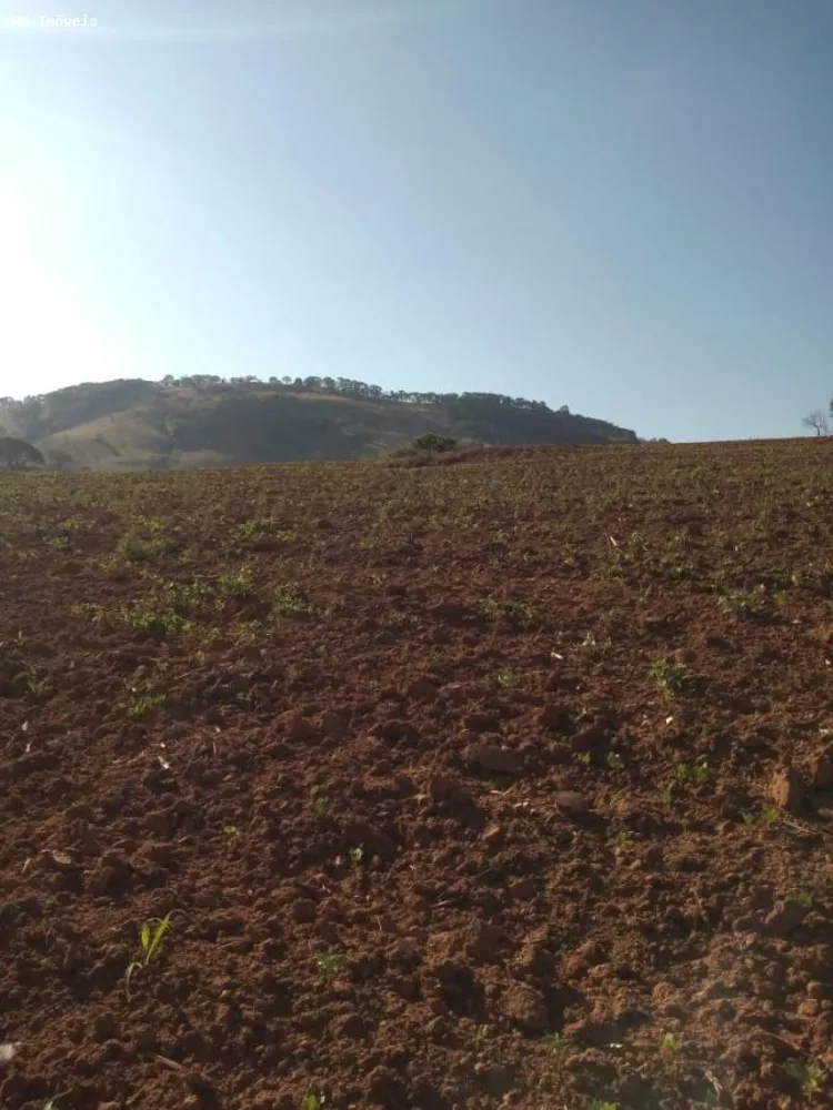 Sítio, 34 hectares - Foto 10