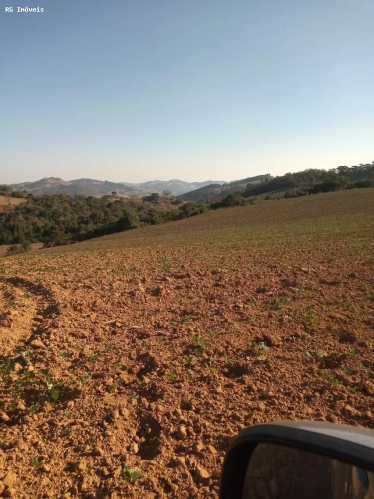 Sítio, 34 hectares - Foto 6