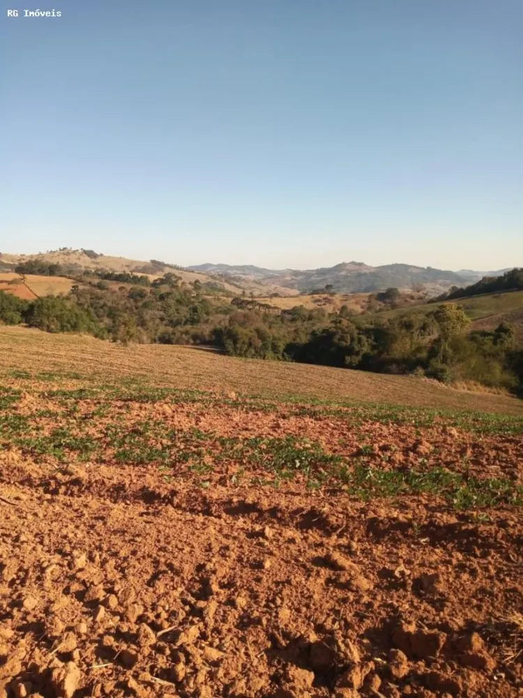 Sítio, 34 hectares - Foto 7
