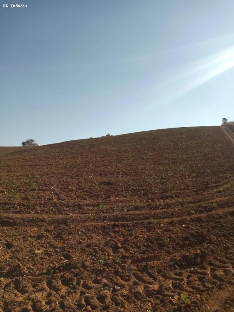 Sítio, 34 hectares - Foto 1