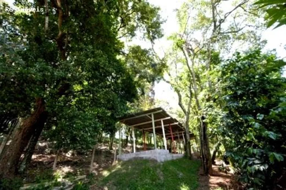 Sítio, 3 quartos, 6 hectares - Foto 1