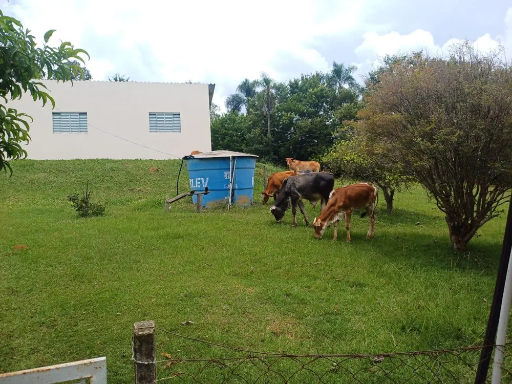 Chácara, 2 hectares - Foto 13