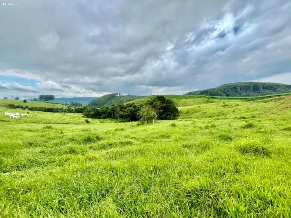 Sítio, 2 quartos, 73 hectares - Foto 1