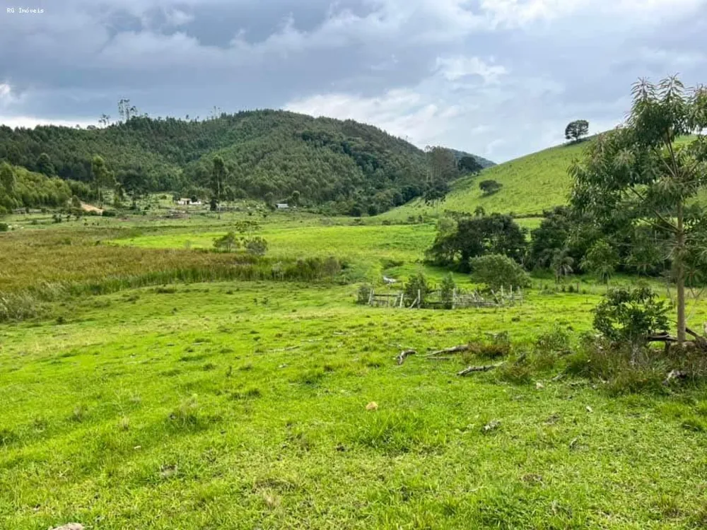 Sítio, 2 quartos, 73 hectares - Foto 2