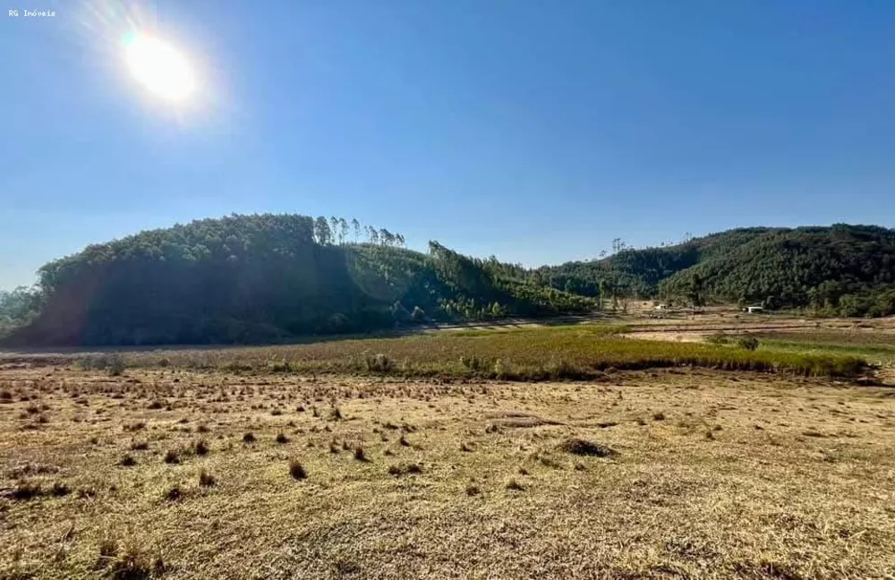 Sítio, 2 quartos, 73 hectares - Foto 1