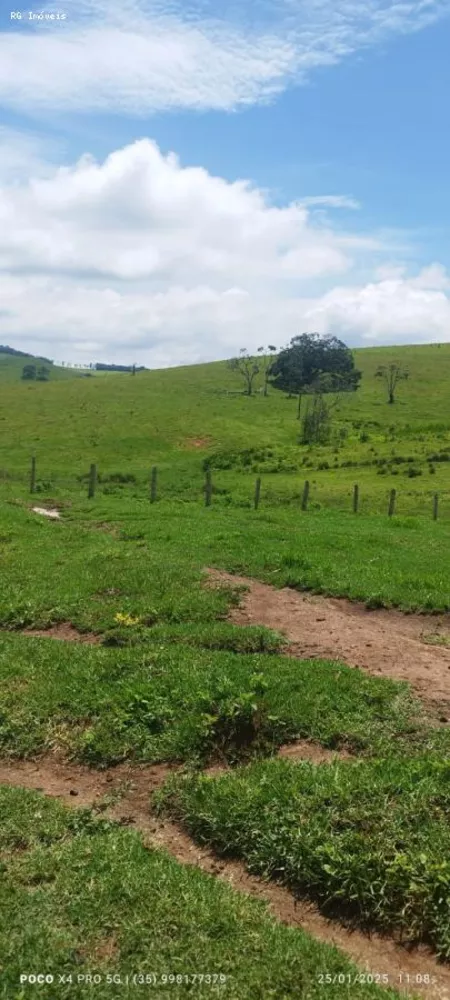 Sítio, 2 quartos, 73 hectares - Foto 4