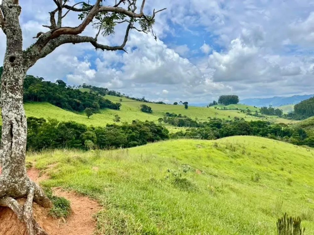 Sítio, 2 quartos, 73 hectares - Foto 4