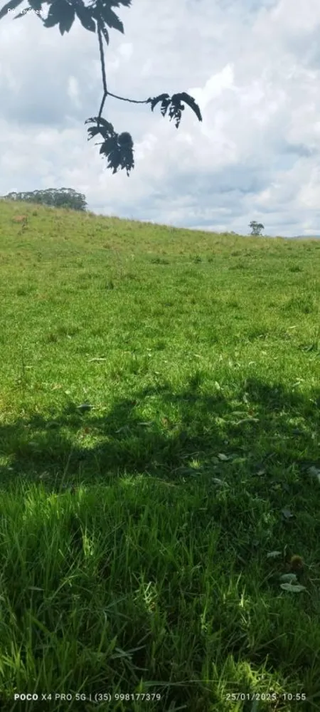 Sítio, 2 quartos, 73 hectares - Foto 7