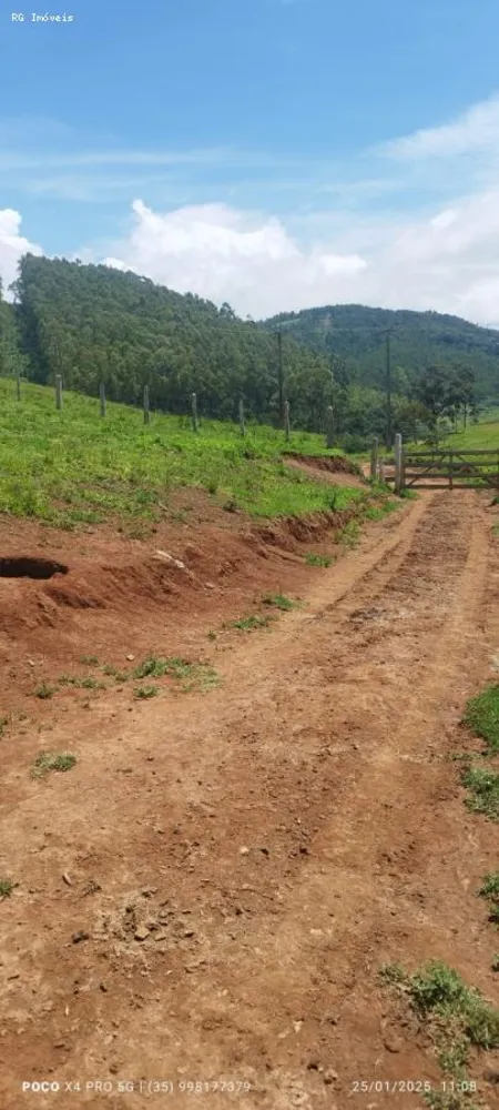 Sítio, 2 quartos, 73 hectares - Foto 6