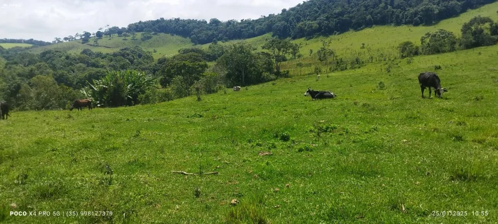 Sítio, 2 quartos, 73 hectares - Foto 8