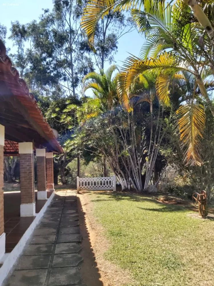 Sítio, 3 quartos, 10 hectares - Foto 4