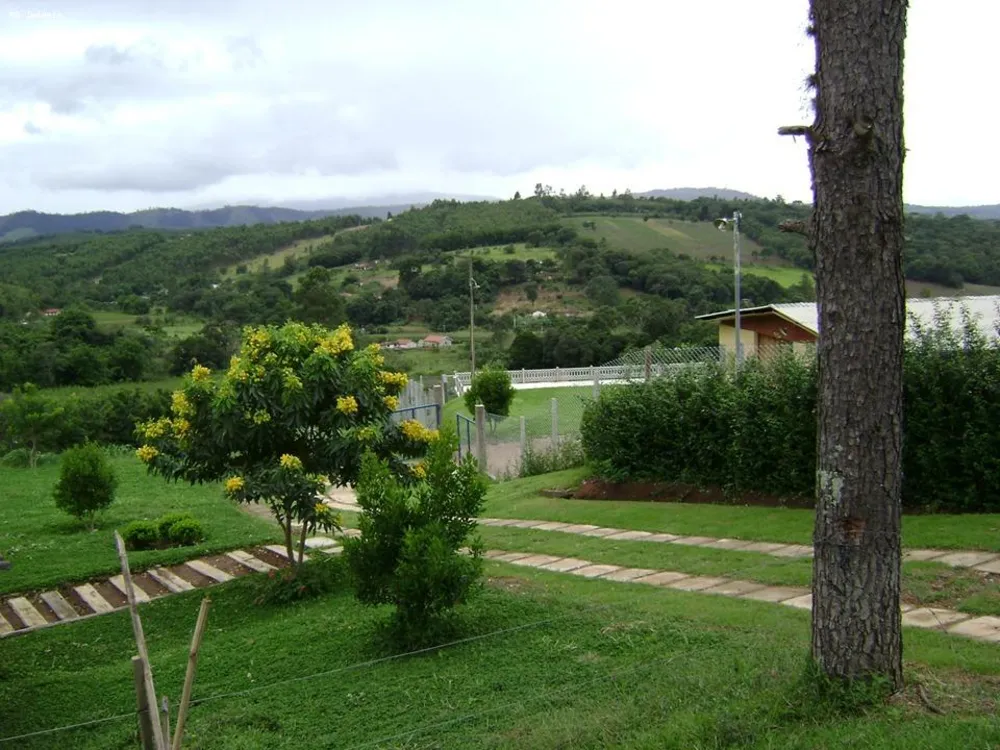 Sítio, 3 quartos, 10 hectares - Foto 12