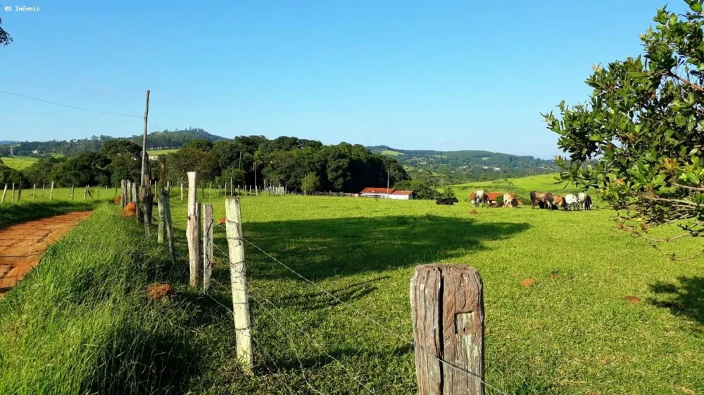 Sítio, 3 quartos, 24 hectares - Foto 12