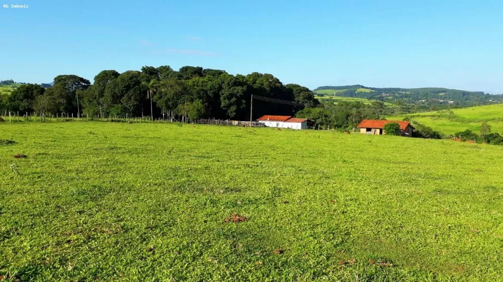 Sítio, 3 quartos, 24 hectares - Foto 1