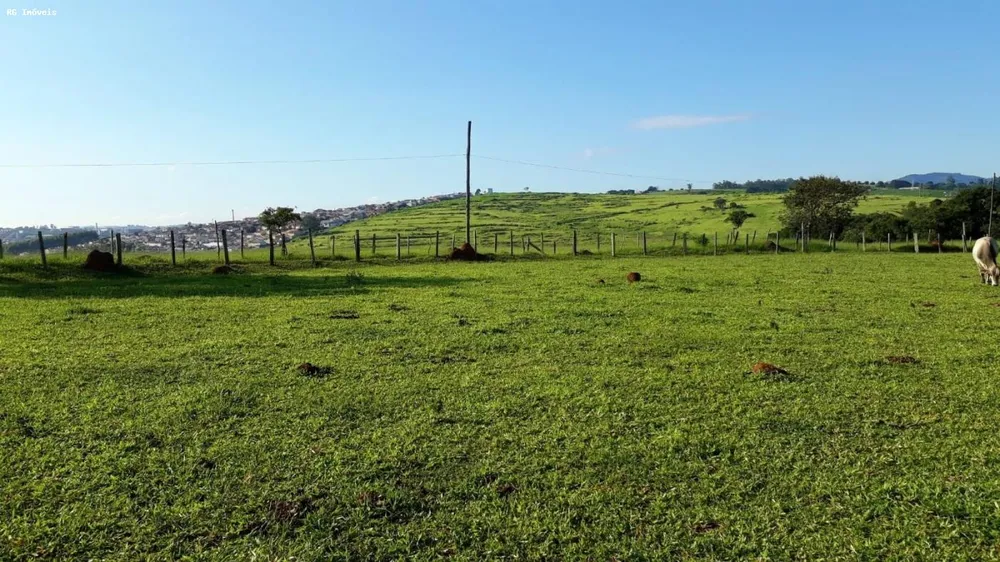 Sítio, 3 quartos, 24 hectares - Foto 6