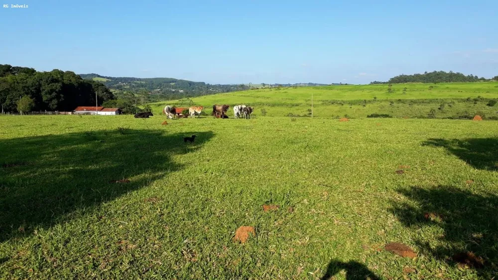 Sítio, 3 quartos, 24 hectares - Foto 2