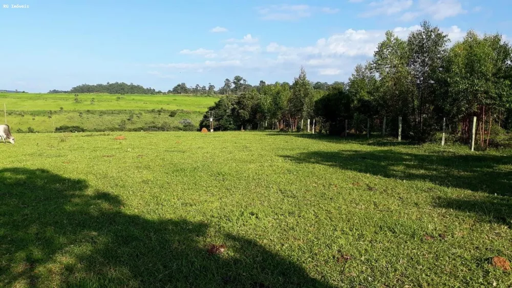 Sítio, 3 quartos, 24 hectares - Foto 4