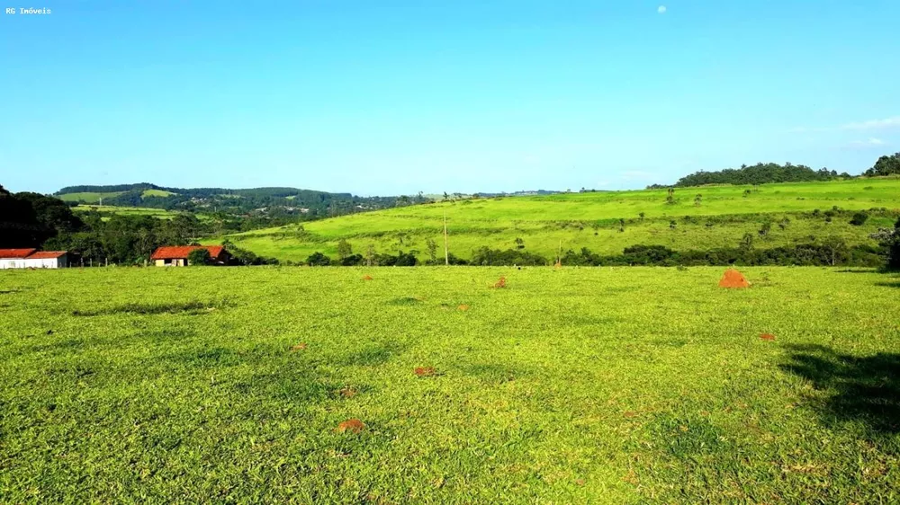 Sítio, 3 quartos, 24 hectares - Foto 3