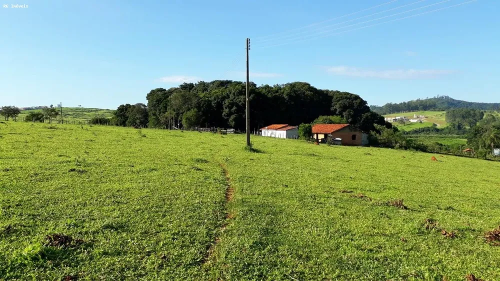 Sítio, 3 quartos, 24 hectares - Foto 1