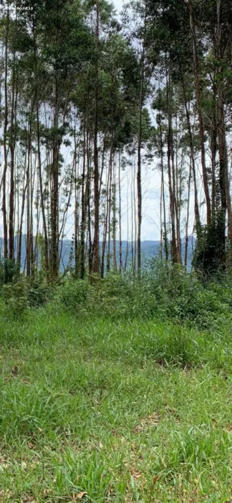 Terreno, 22 hectares - Foto 3