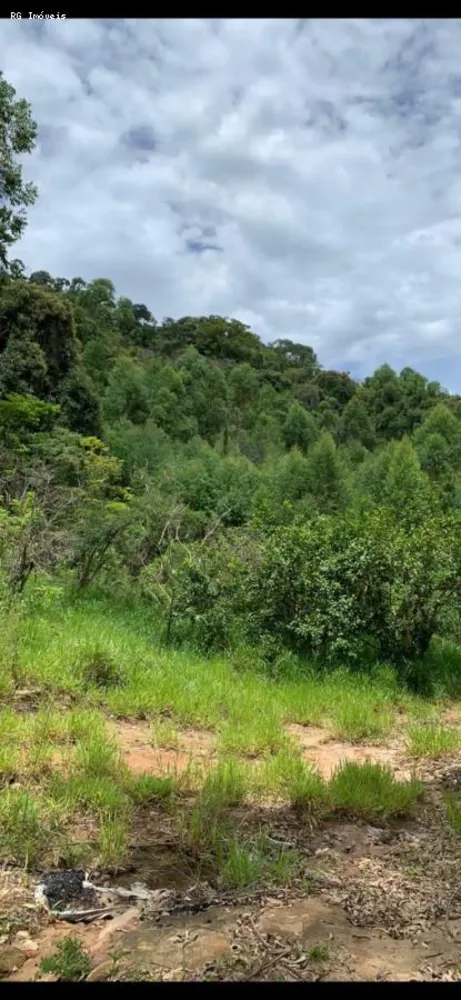 Terreno, 22 hectares - Foto 12