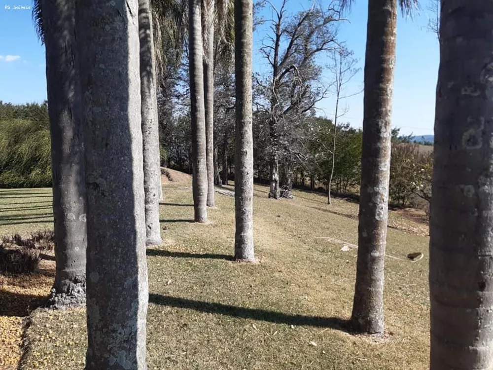 Fazenda, 301 hectares - Foto 4